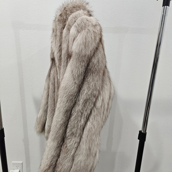 COPY - SAGA Fox M - Gorgeous! - Picture 13 of 17